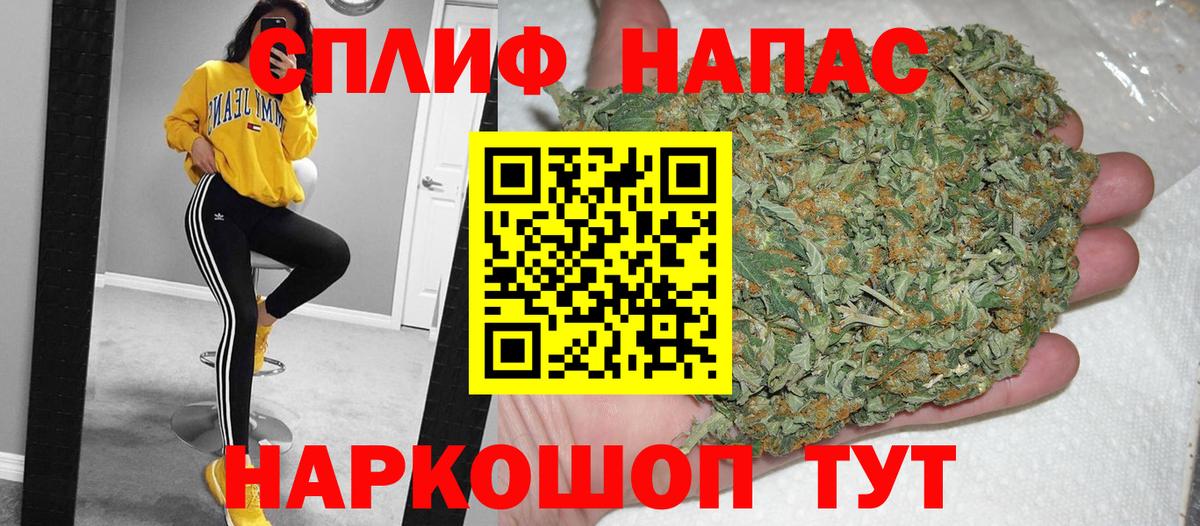 Канабис планчик Пугачёв